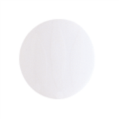  Pigment porcelaine schjerning blanc relief 001 8gr + plomb