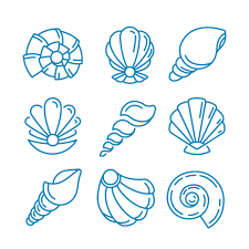 [PERMA] Coquillage couleur