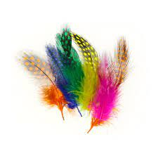 Plumes de pintade teintées, coloris variés, env 8x3cm à l'unité
