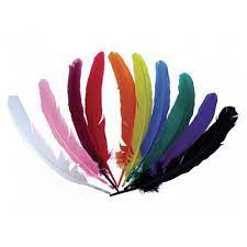 Plumes Indiennes 34cm couleurs assorties x 10
