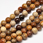 Pierre Bois pétrifié, ronde, 10mm, trou 1mm