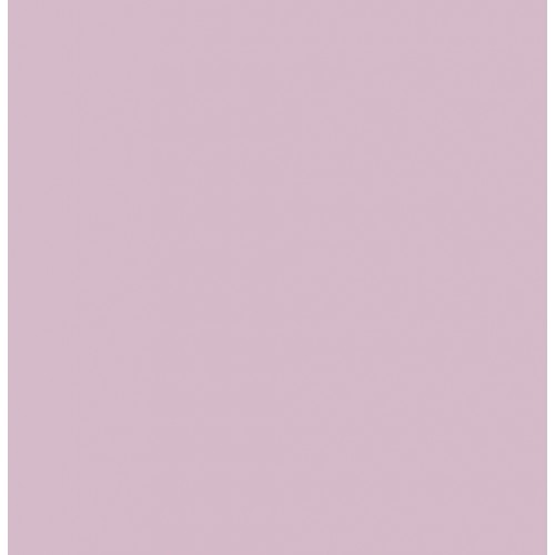 [3148950403704] Feuille de papier canson, 240g/m2, 50x65cm LILAS, unité