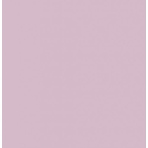 Feuille de papier canson, 240g/m2, 50x65cm LILAS, unité