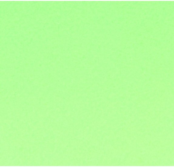 Feuille de papier canson, 240g/m2, 50x65cm VERT POMME, unité