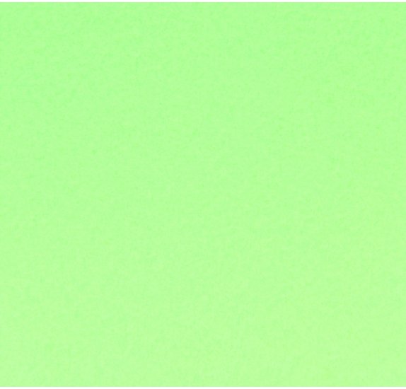 Feuille de papier canson, 240g/m2, 50x65cm VERT POMME, unité