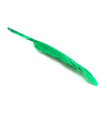 Plume d'oie 13 à 21cm à l'unité, coloris variés