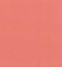 Pigment pour peinture porcelaine Catherine Bergoin 5gr, rose saumon