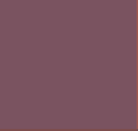 Pigment pour peinture porcelaine Catherine Bergoin 5gr, pourpre lie de vin