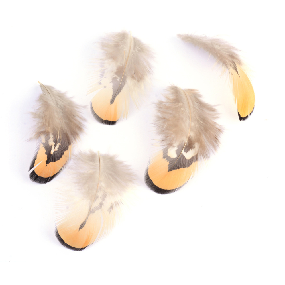 Plume de poulet, coloris sandy brown, 45/105 x 10/30 mm, sachet de 50 pièces