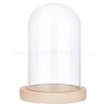 Cloche en verre avec socle en bois clair, 165x110mm