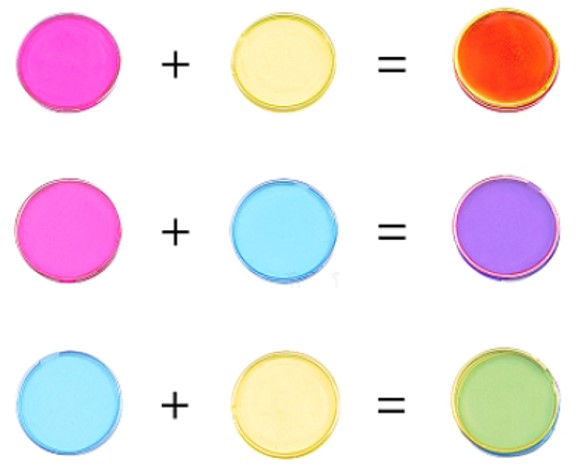 [DIY-PH0026-79] Jetons de comptage/bingo, 19x2mm, coloris variés, 100 pièces