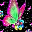 RUPTURE - Kit complet de diamond painting, 40x30cm, papillon