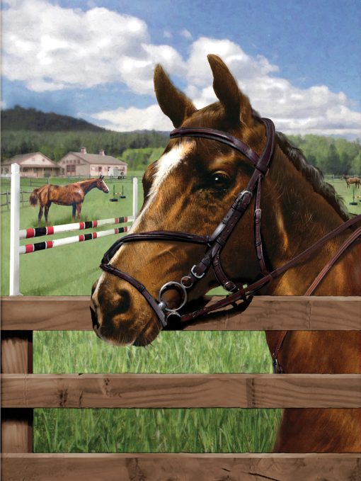 [PJS88] ROYAL LANGNICKEL Peinture au N° - Junior Small - Cheval au paddock