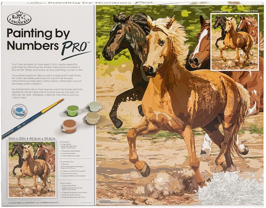 [PBN-PRO2] ROYAL LANGNICKEL Peinture au N° géant avec toile - Chevaux au Galop