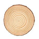 [HULI-PW0002-079B] Tranches de bois brut avec écorce, 80~100x10mm, unité