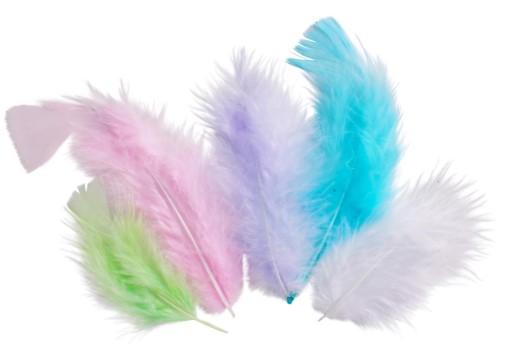 [460238] Plumes de coq, couleurs pastel, 7cm, paquet de 20 unités