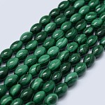[1486 G-F571-21-C] Pierre Malachite naturelle verte, ovale, 9,5x7mm, trou 0,8mm