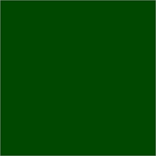 [10571VF] Feuille de carton teintés Ursus de format 50x70cm, 130g/m2 vert fonçé Ursus