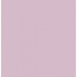 [3148950403704] Feuille de papier canson, 240g/m2, 50x65cm LILAS, unité