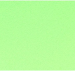 [3148950403803_1] Feuille de papier canson, 240g/m2, 50x65cm VERT POMME, unité