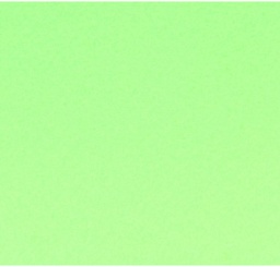 [3148950403803_1] Feuille de papier canson, 240g/m2, 50x65cm VERT POMME, unité