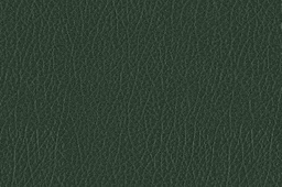 [3471052396057] Feuille de papier skivertex, simili cuir, 100x69cm COULEUR VERT