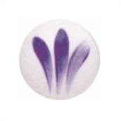 [SCH2020]  Pigment porcelaine schjerning violet foncé 2020 3gr ss plomb