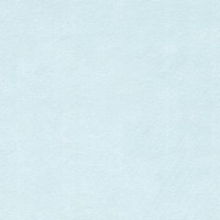 [3148950403735] Feuille de papier canson, 240g/m2, 50x65cm BLEU CIEL, unité