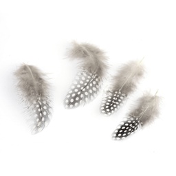 [X-FIND-Q048-19] Plume de poulet, coloris gris clair, 65/135 x 25/45 mm, sachet de 50 pièces