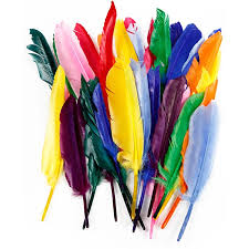 Plume d'oie 13 à 21cm env., coloris variés, sachet de 50 pièces