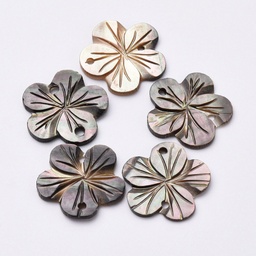 [SHEL-T007-56] Estampe, nacre, naturelle, fleur, 19x19mm, trous 1,2mm