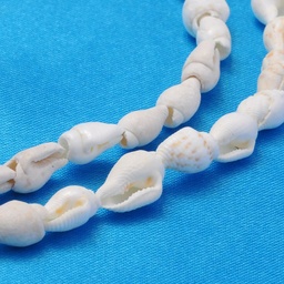 [S02KI011] Coquillages trompettes percés, 6~13x4~8,5mm, trou 0,5~1mm, environ 140 pcs/chapelet