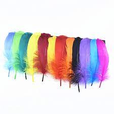 Plume d'oie 13 à 21cm à l'unité, coloris variés